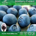 Natural Blueberry Juice Concentrate Brix 65